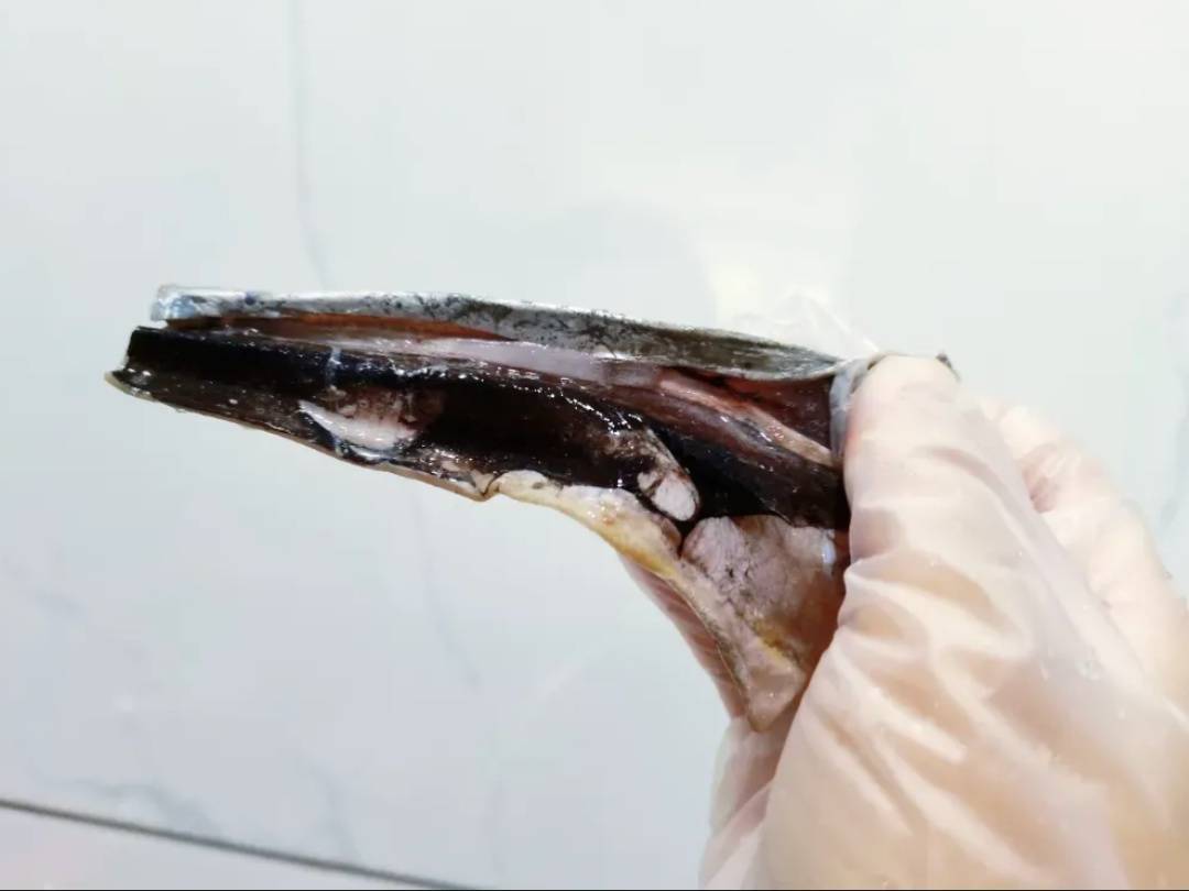 这种“国民廉价鱼”,一直被低估!其实营养价值超高