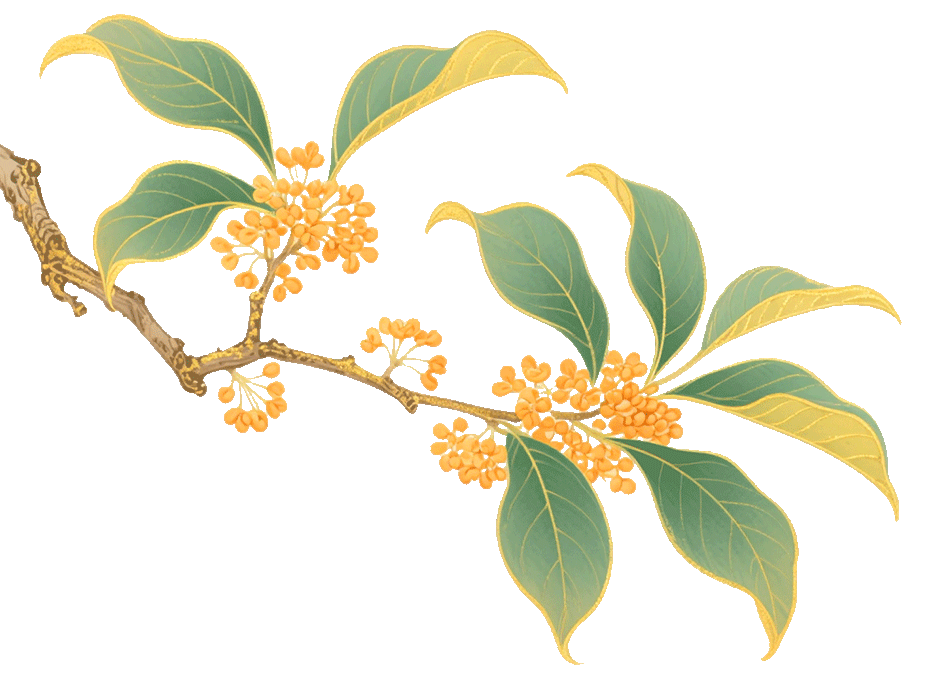 国庆、中秋双节门诊安排通知