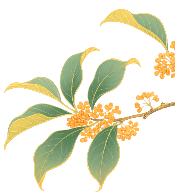 国庆、中秋双节门诊安排通知