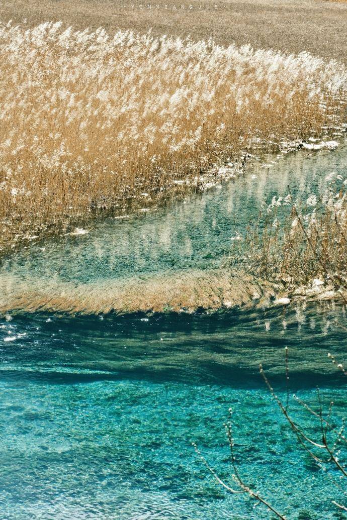 九寨沟“门票候补措施”推出1天就暂停,景区回应:登记的人数太多