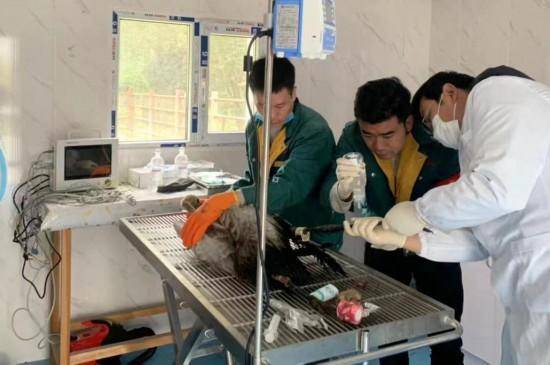 鹤舞高原——黑颈鹤“降级”背后的青海守护