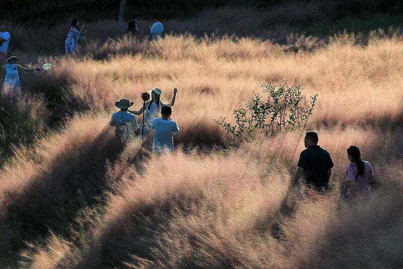 【曝光台】打卡拍照,再美也不能用生命对焦