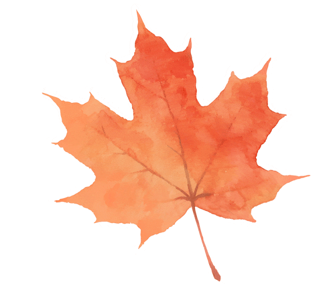 新疆喀什客人来沪旅游,顺便订了辆特斯拉