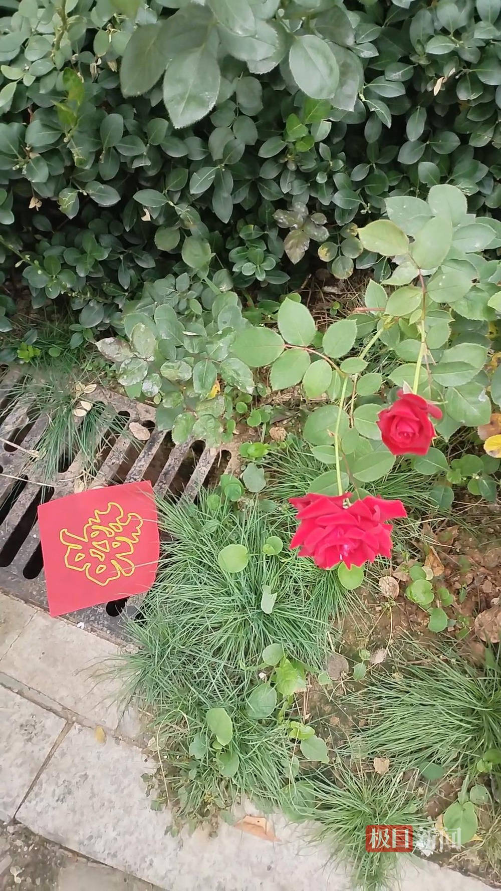 山西婚礼要在下水道井盖贴“喜”字？有的井盖被贴了8张，当地居民：寓意不踩坑、驱晦迎喜