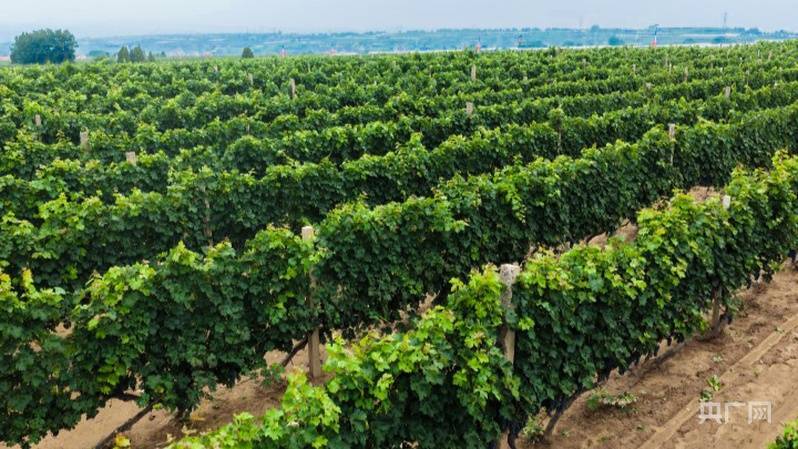 光耀太行·红土巨变 | 乡宁：能源重镇焕新出发