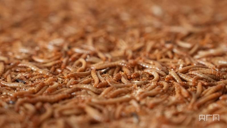 光耀太行·红土巨变 | 乡宁：能源重镇焕新出发