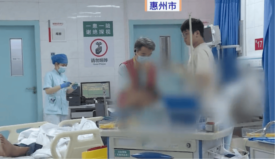 深圳一市民突遭马蜂围袭!已进入高发期,千万别招惹!