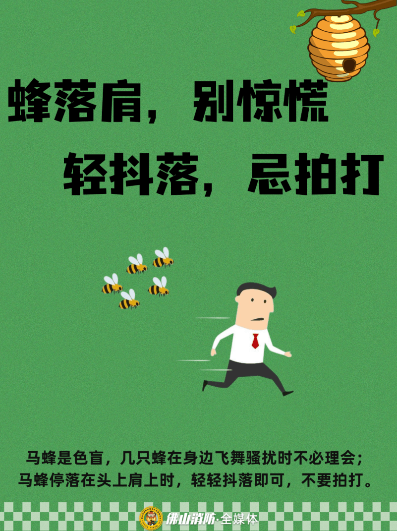 深圳一市民突遭马蜂围袭!已进入高发期,千万别招惹!
