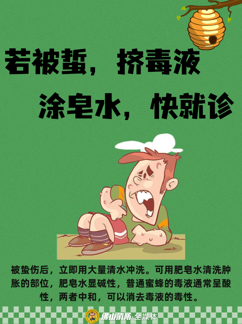 深圳一市民突遭马蜂围袭!已进入高发期,千万别招惹!