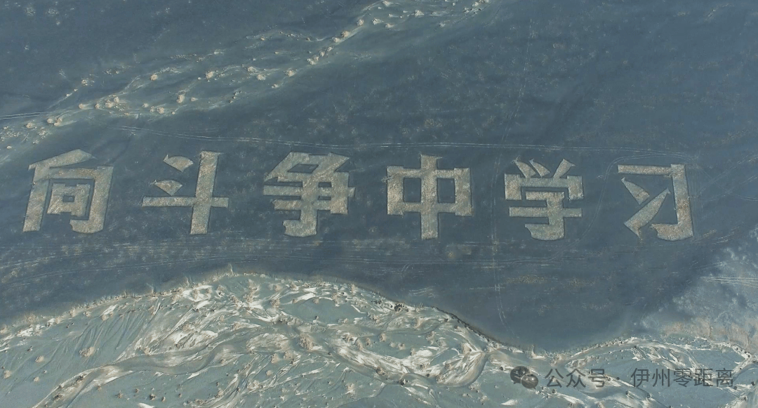 戈壁滩“为人民服务”大字遭破坏 新疆哈密:积极谋划整体保护方案