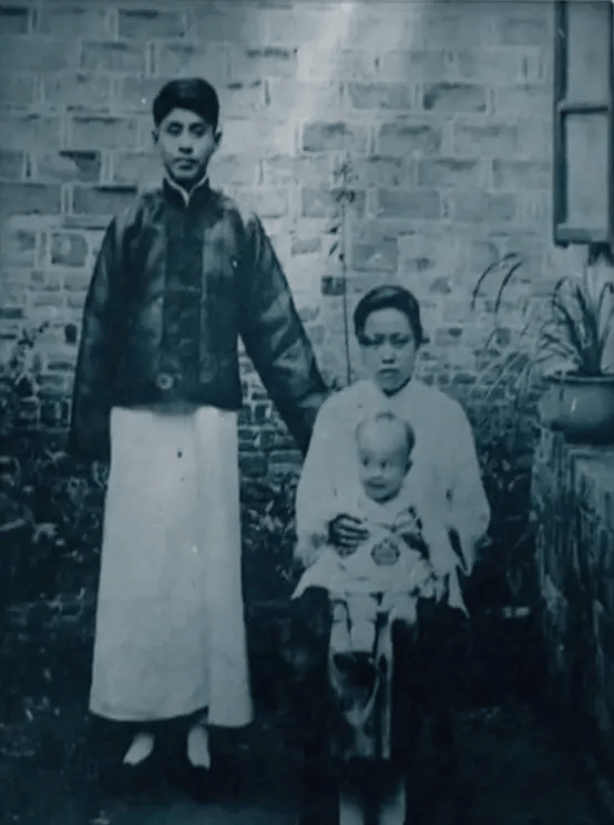 103岁杨振宁去世,象牙塔倒塌