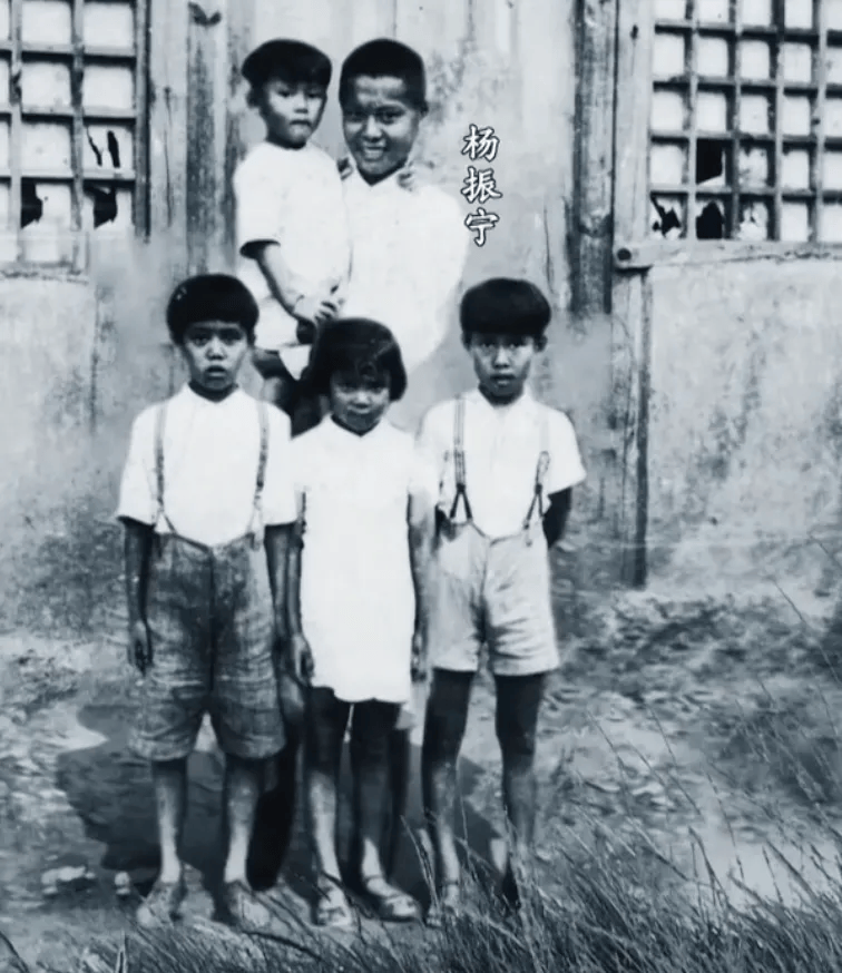 103岁杨振宁去世,象牙塔倒塌