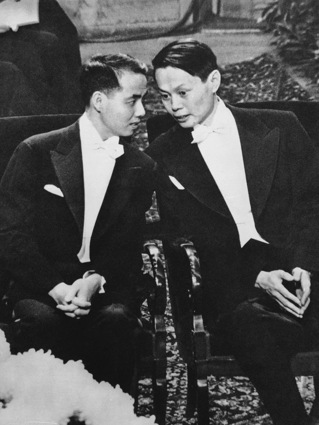 103岁杨振宁去世,象牙塔倒塌