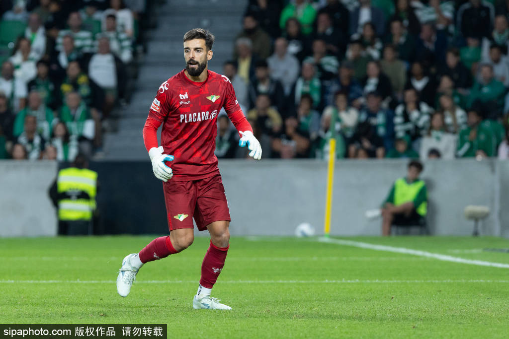 青岛海牛点球判罚再引热议:足协评议组确认判罚正确背后的真相