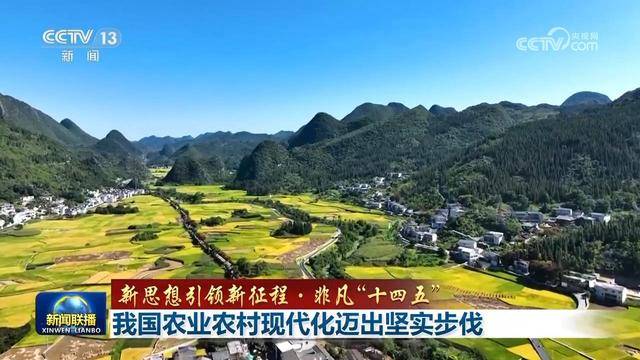 【新思想引领新征程·非凡“十四五”】我国农业农村现代化迈出坚实步伐